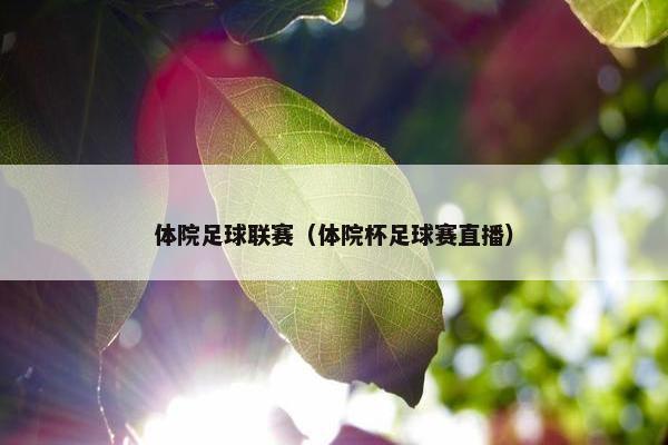 体院足球联赛（体院杯足球赛直播）