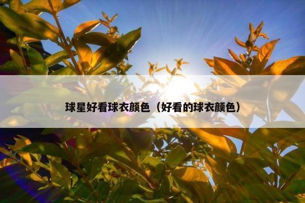 球星好看球衣颜色（好看的球衣颜色）
