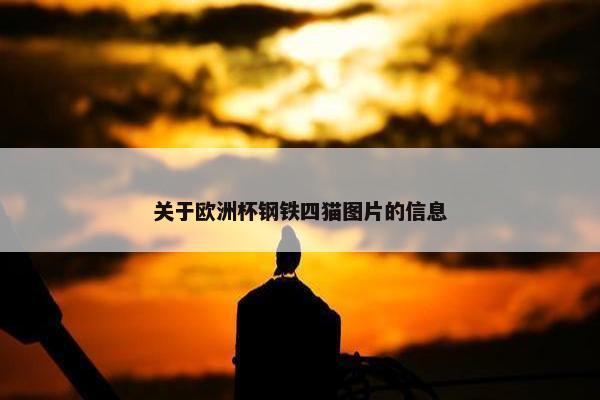 关于欧洲杯钢铁四猫图片的信息