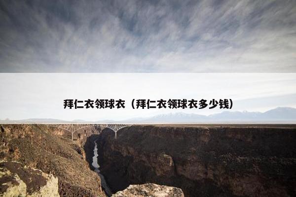 拜仁衣领球衣（拜仁衣领球衣多少钱）