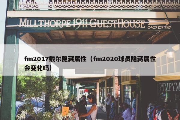 fm2017戴尔隐藏属性（fm2020球员隐藏属性会变化吗）
