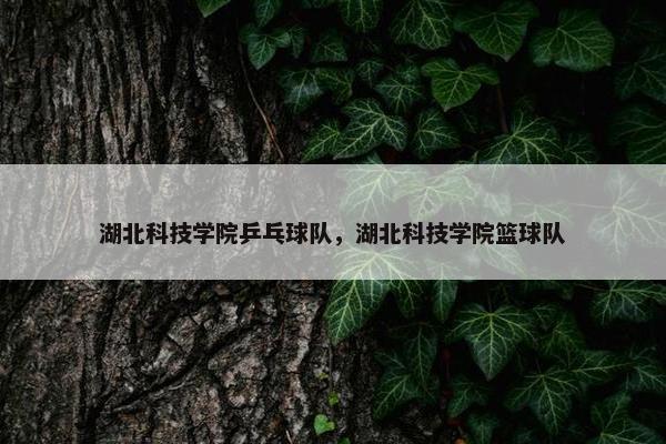 湖北科技学院乒乓球队，湖北科技学院篮球队