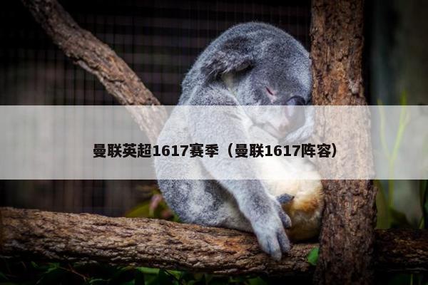 曼联英超1617赛季（曼联1617阵容）
