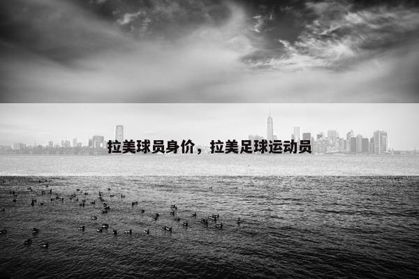 拉美球员身价，拉美足球运动员