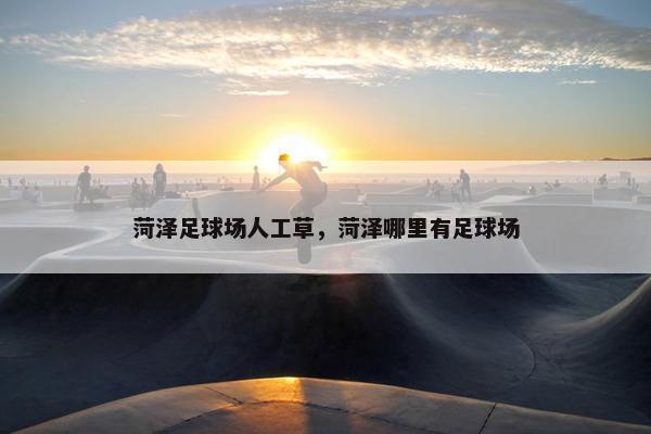 菏泽足球场人工草，菏泽哪里有足球场