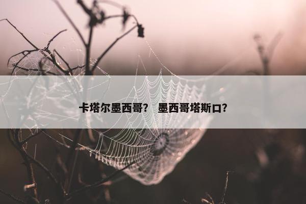 卡塔尔墨西哥？ 墨西哥塔斯口？