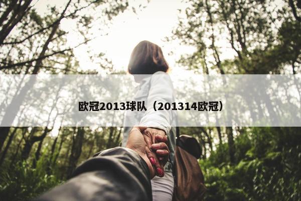 欧冠2013球队（201314欧冠）
