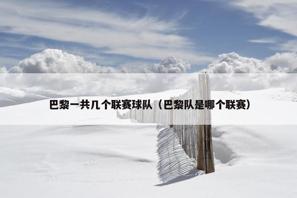 巴黎一共几个联赛球队（巴黎队是哪个联赛）