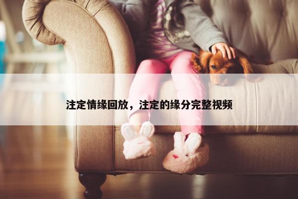 注定情缘回放，注定的缘分完整视频