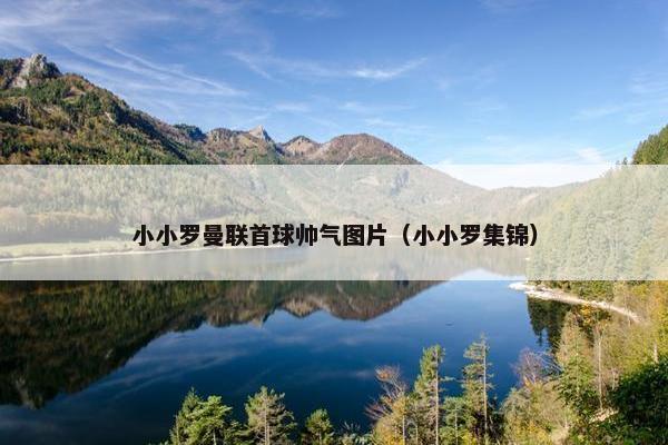 小小罗曼联首球帅气图片（小小罗集锦）