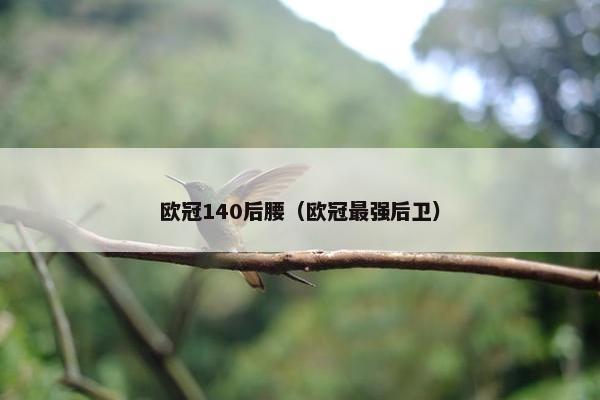 欧冠140后腰（欧冠最强后卫）