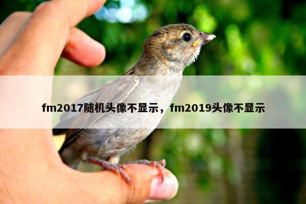 fm2017随机头像不显示，fm2019头像不显示