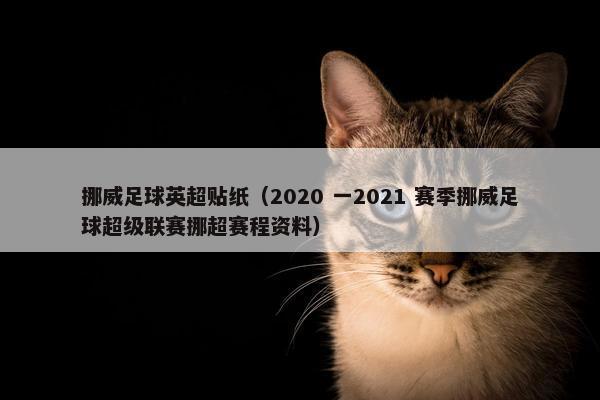 挪威足球英超贴纸（2020 一2021 赛季挪威足球超级联赛挪超赛程资料）