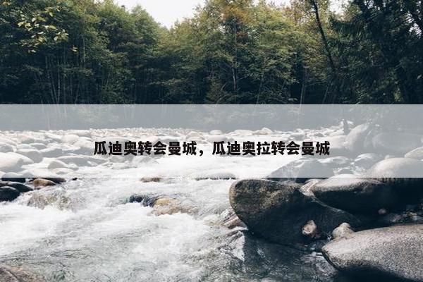 瓜迪奥转会曼城，瓜迪奥拉转会曼城