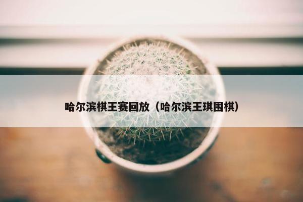 哈尔滨棋王赛回放（哈尔滨王琪围棋）