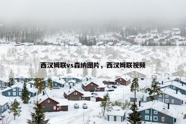 西汉姆联vs森纳图片，西汉姆联视频