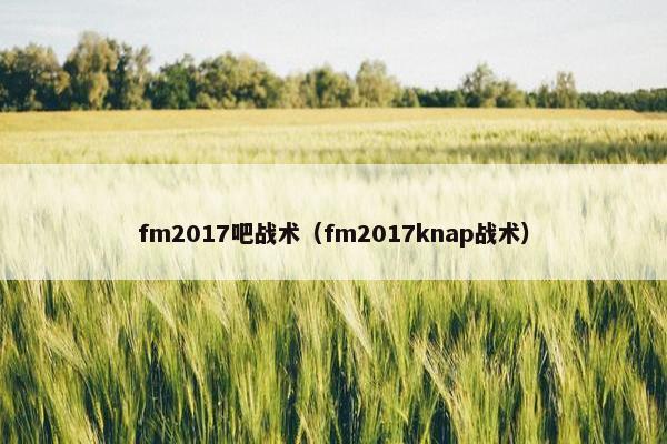 fm2017吧战术（fm2017knap战术）