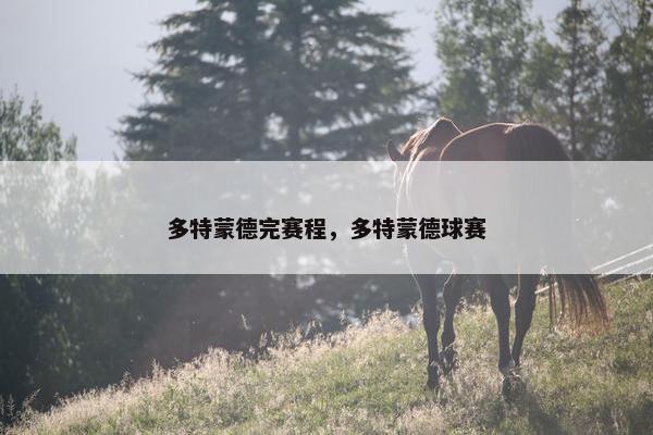 多特蒙德完赛程，多特蒙德球赛
