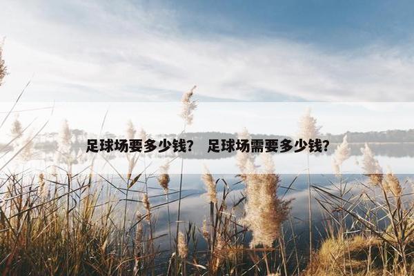 足球场要多少钱？ 足球场需要多少钱？