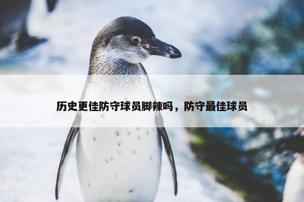 历史更佳防守球员脚辣吗，防守最佳球员
