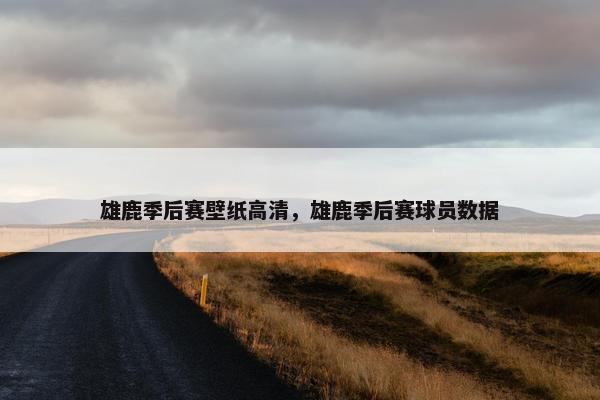 雄鹿季后赛壁纸高清，雄鹿季后赛球员数据