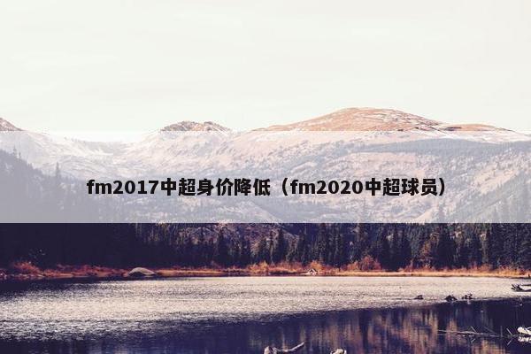 fm2017中超身价降低（fm2020中超球员）