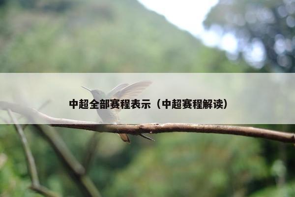 中超全部赛程表示（中超赛程解读）