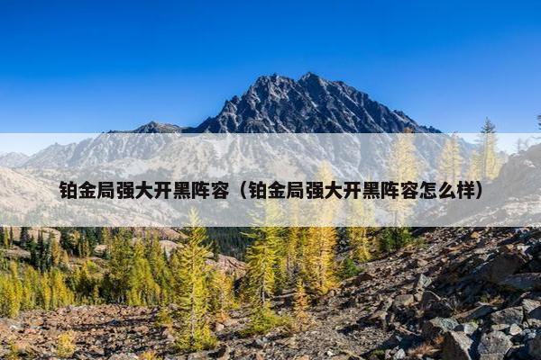 铂金局强大开黑阵容（铂金局强大开黑阵容怎么样）