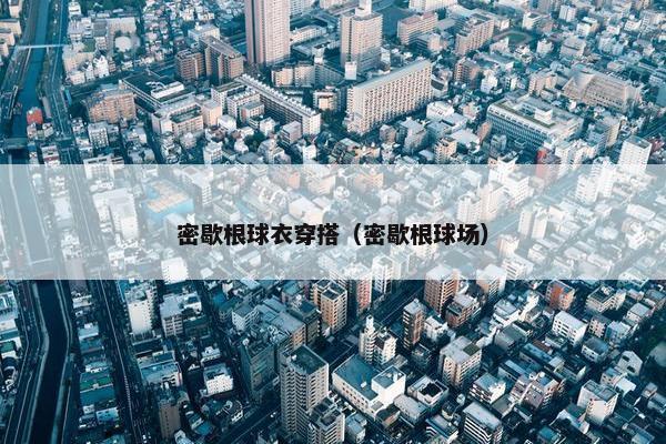 密歇根球衣穿搭（密歇根球场）