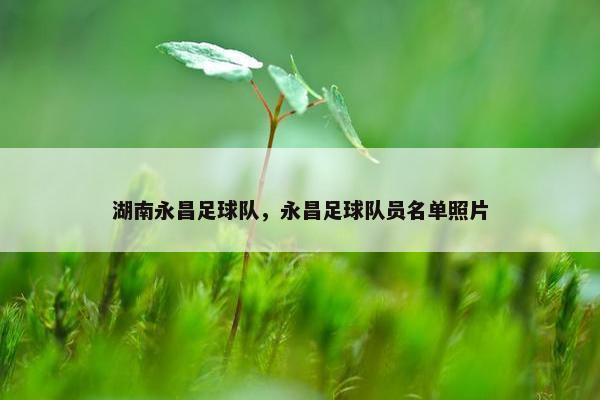 湖南永昌足球队，永昌足球队员名单照片