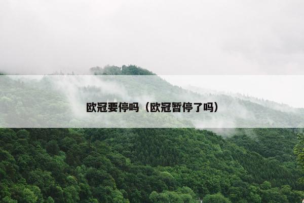 欧冠要停吗（欧冠暂停了吗）