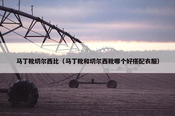 马丁靴切尔西比（马丁靴和切尔西靴哪个好搭配衣服）