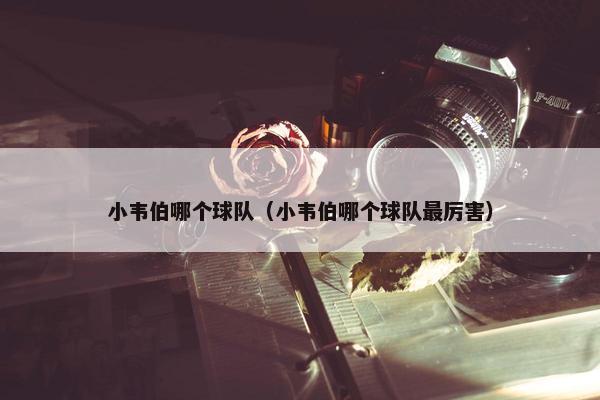 小韦伯哪个球队（小韦伯哪个球队最厉害）