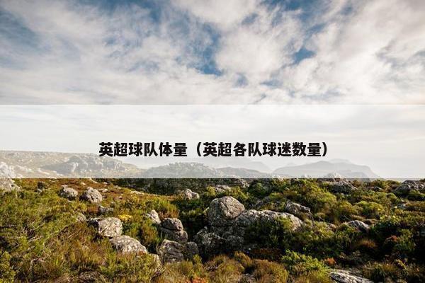 英超球队体量（英超各队球迷数量）