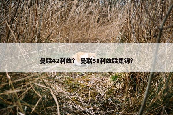 曼联42利兹？ 曼联51利兹联集锦？