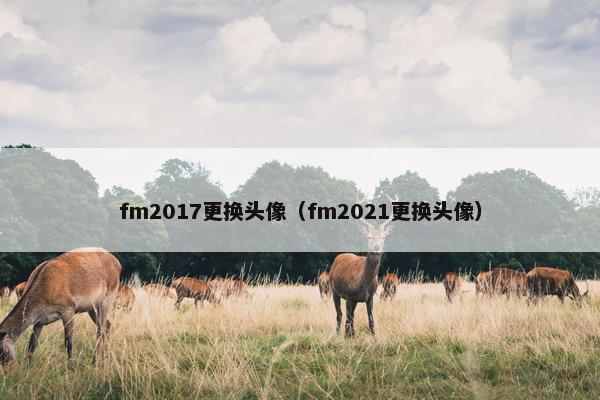 fm2017更换头像（fm2021更换头像）