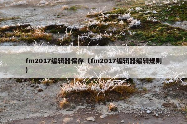 fm2017编辑器保存（fm2017编辑器编辑规则）