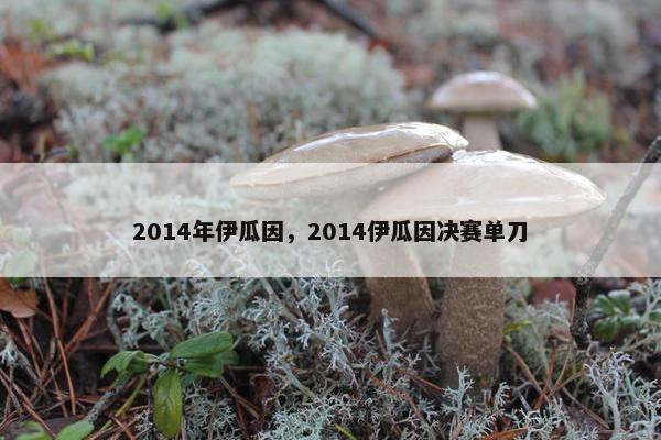 2014年伊瓜因，2014伊瓜因决赛单刀