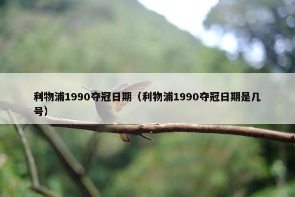 利物浦1990夺冠日期（利物浦1990夺冠日期是几号）