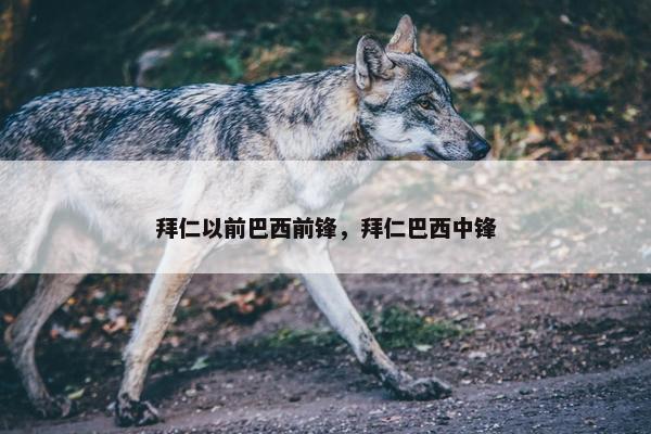 拜仁以前巴西前锋，拜仁巴西中锋