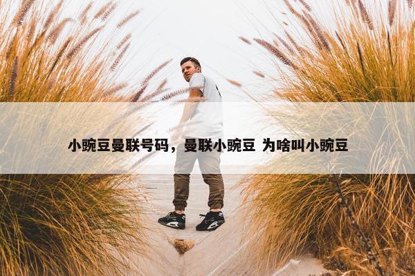 小豌豆曼联号码，曼联小豌豆 为啥叫小豌豆