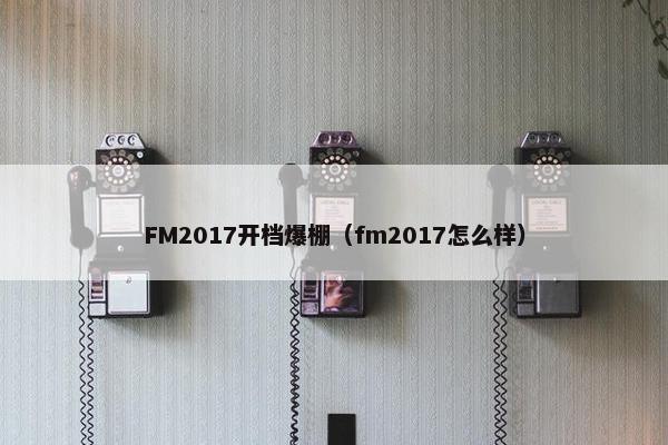 FM2017开档爆棚（fm2017怎么样）