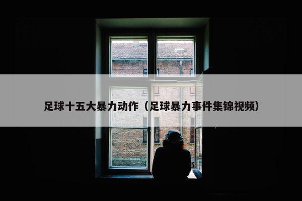 足球十五大暴力动作（足球暴力事件集锦视频）