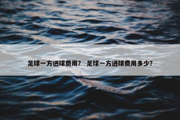 足球一方进球费用？ 足球一方进球费用多少？