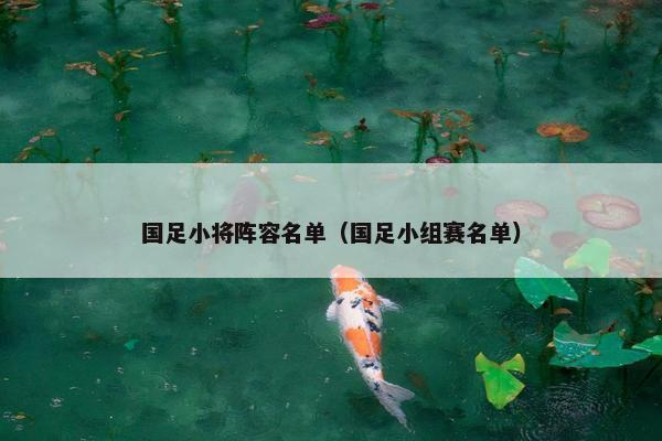 国足小将阵容名单（国足小组赛名单）
