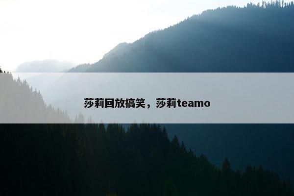 莎莉回放搞笑，莎莉teamo