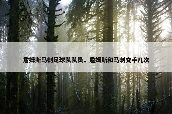 詹姆斯马刺足球队队员，詹姆斯和马刺交手几次