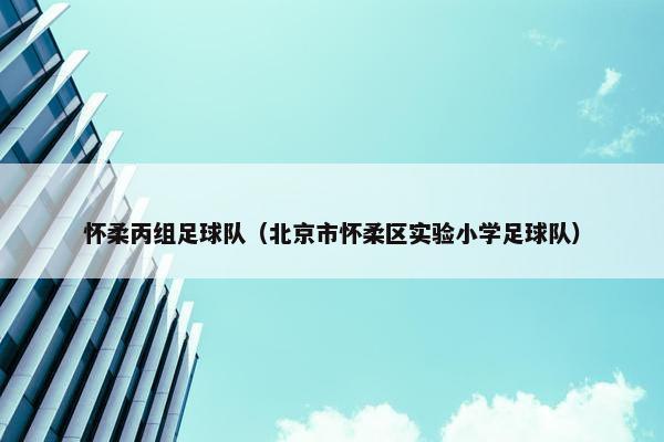 怀柔丙组足球队（北京市怀柔区实验小学足球队）