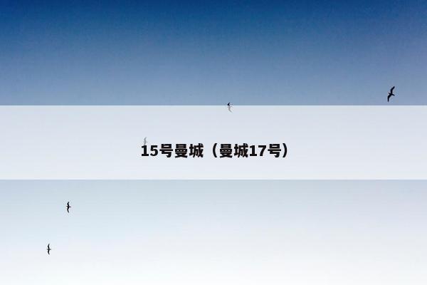 15号曼城（曼城17号）