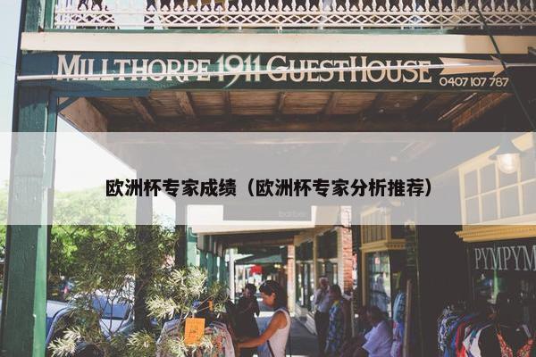 欧洲杯专家成绩（欧洲杯专家分析推荐）
